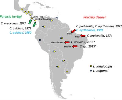 Porcisia transmission by prediuresis of sand flies